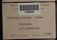Image Associated With the Occurence